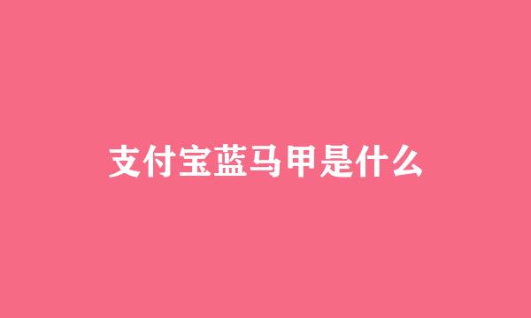 支付宝蓝马甲是什么