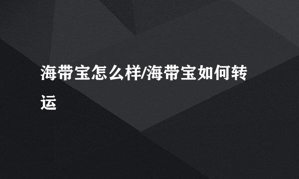 海带宝怎么样/海带宝如何转运
