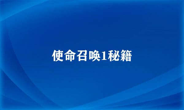 使命召唤1秘籍
