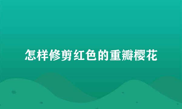 怎样修剪红色的重瓣樱花