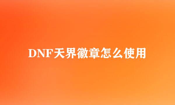 DNF天界徽章怎么使用