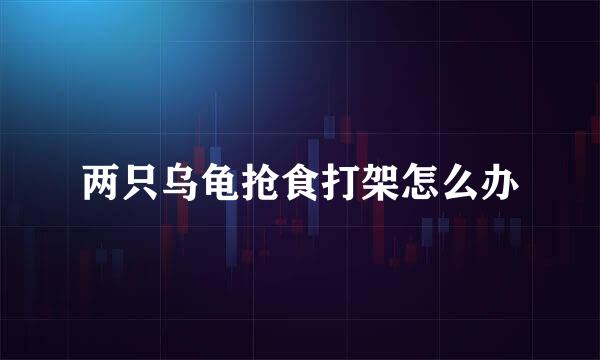 两只乌龟抢食打架怎么办