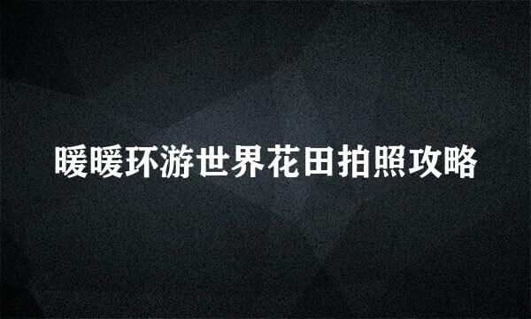 暖暖环游世界花田拍照攻略