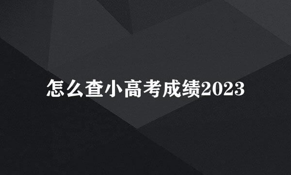 怎么查小高考成绩2023