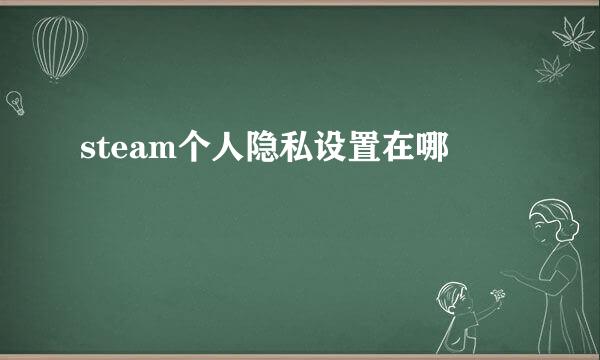 steam个人隐私设置在哪