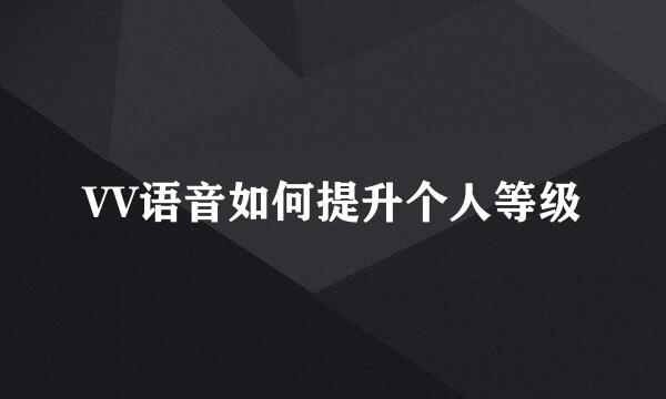 VV语音如何提升个人等级