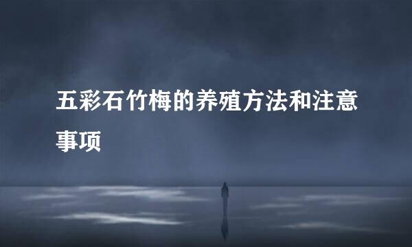 五彩石竹梅的养殖方法和注意事项