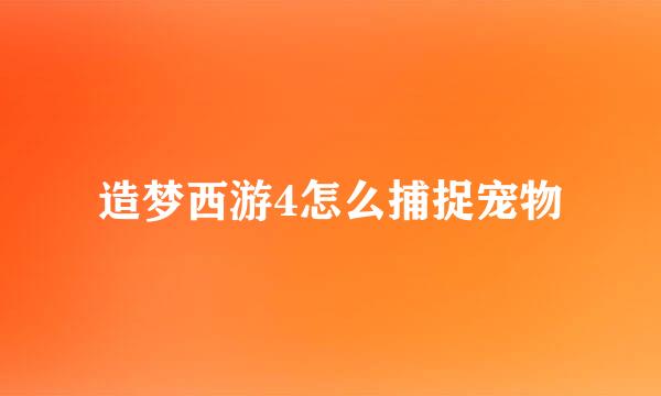 造梦西游4怎么捕捉宠物