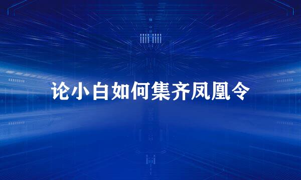 论小白如何集齐凤凰令