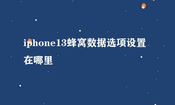 iphone13蜂窝数据选项设置在哪里