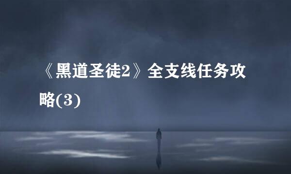 《黑道圣徒2》全支线任务攻略(3)