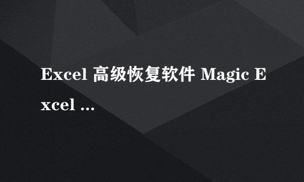 Excel 高级恢复软件 Magic Excel recovery