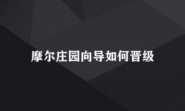 摩尔庄园向导如何晋级