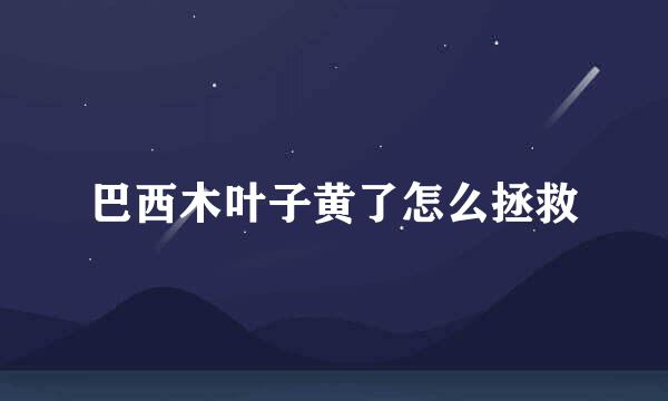 巴西木叶子黄了怎么拯救