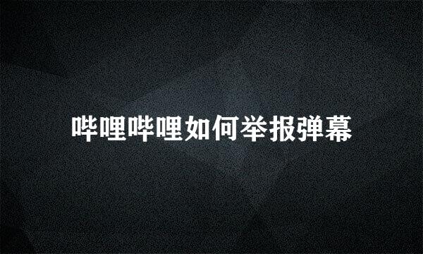 哔哩哔哩如何举报弹幕