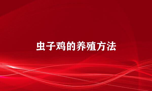 虫子鸡的养殖方法