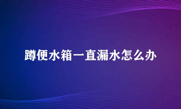 蹲便水箱一直漏水怎么办
