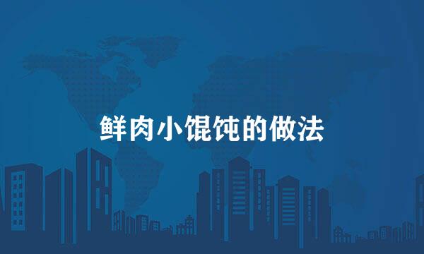 鲜肉小馄饨的做法