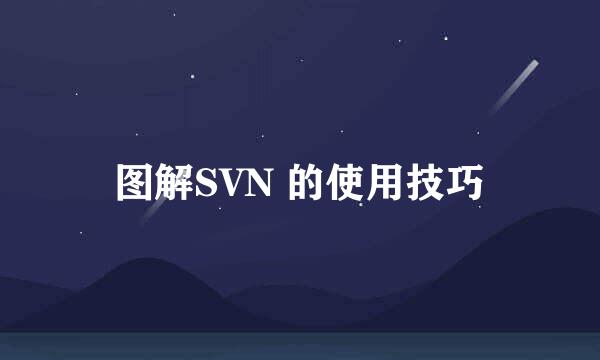 图解SVN 的使用技巧