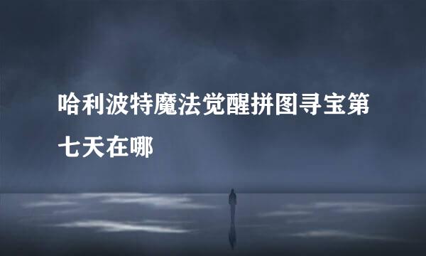 哈利波特魔法觉醒拼图寻宝第七天在哪