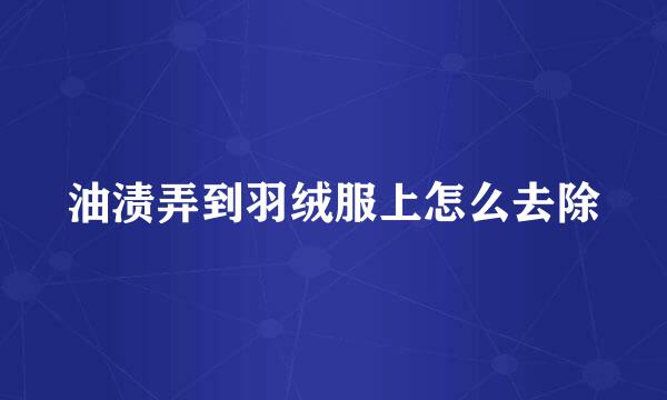 油渍弄到羽绒服上怎么去除