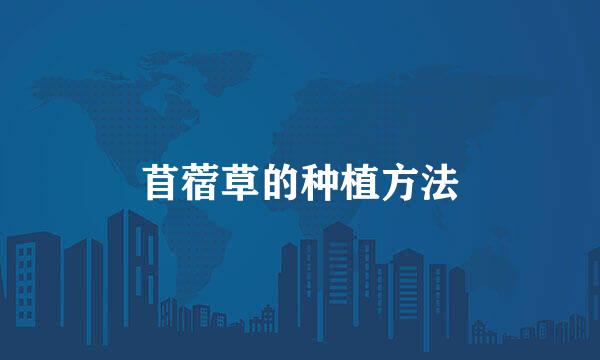 苜蓿草的种植方法