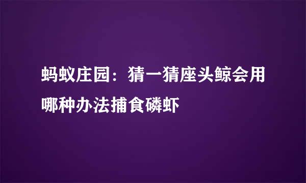 蚂蚁庄园：猜一猜座头鲸会用哪种办法捕食磷虾