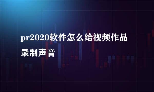 pr2020软件怎么给视频作品录制声音