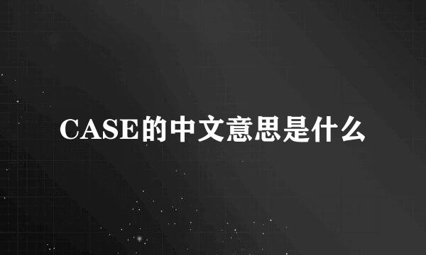 CASE的中文意思是什么