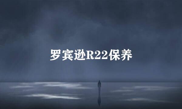 罗宾逊R22保养