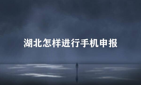 湖北怎样进行手机申报