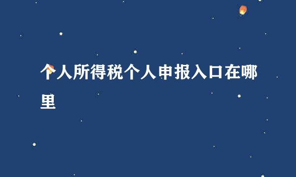 个人所得税个人申报入口在哪里