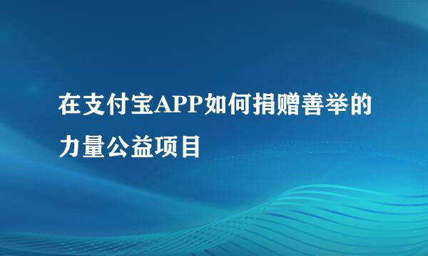 在支付宝APP如何捐赠善举的力量公益项目