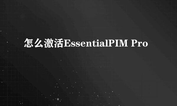 怎么激活EssentialPIM Pro