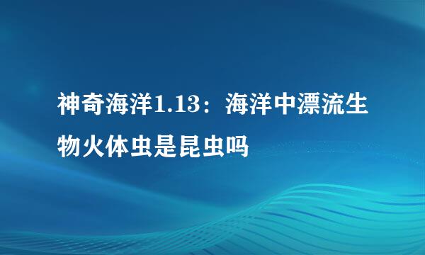 神奇海洋1.13：海洋中漂流生物火体虫是昆虫吗