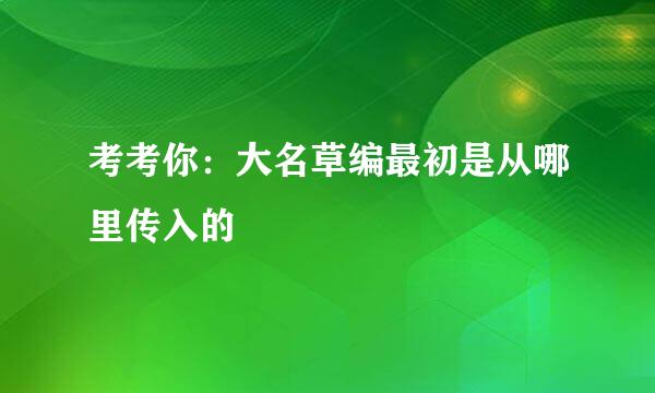 考考你：大名草编最初是从哪里传入的