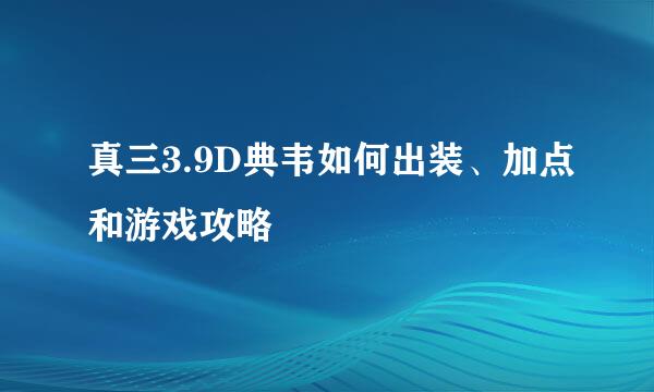 真三3.9D典韦如何出装、加点和游戏攻略