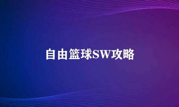 自由篮球SW攻略