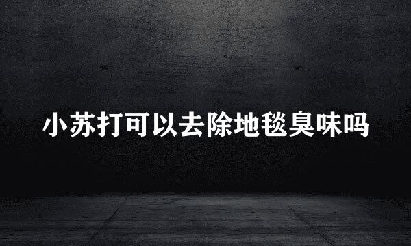 小苏打可以去除地毯臭味吗