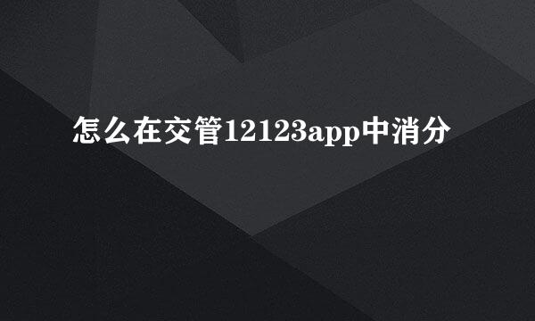 怎么在交管12123app中消分