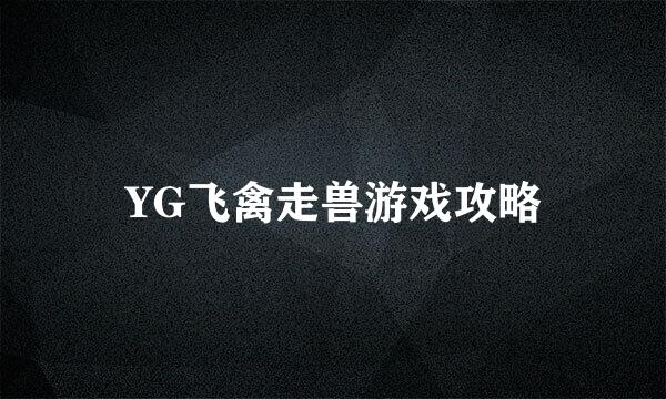 YG飞禽走兽游戏攻略