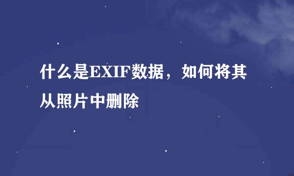 什么是EXIF数据，如何将其从照片中删除