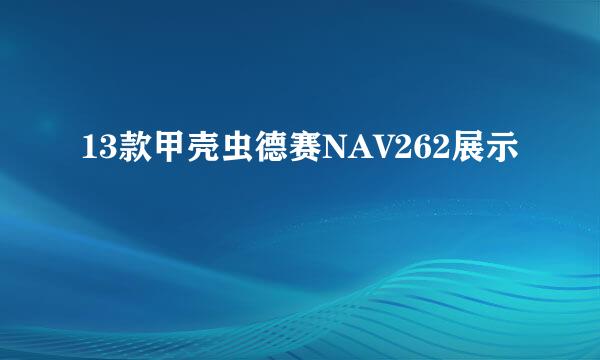 13款甲壳虫德赛NAV262展示