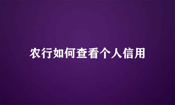农行如何查看个人信用