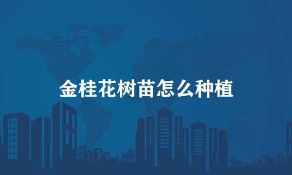 金桂花树苗怎么种植