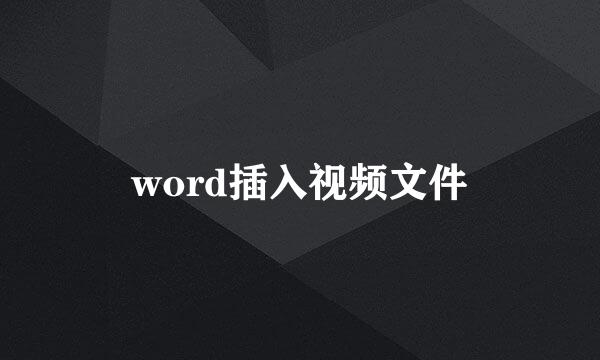 word插入视频文件