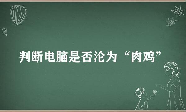 判断电脑是否沦为“肉鸡”