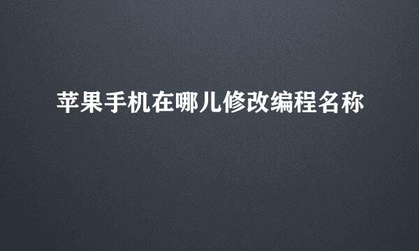 苹果手机在哪儿修改编程名称