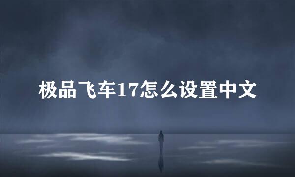 极品飞车17怎么设置中文
