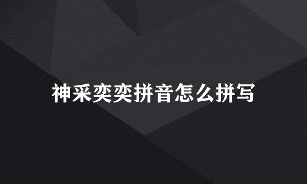 神采奕奕拼音怎么拼写